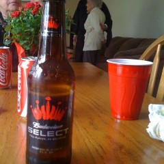 29. ABInBev – Budweiser Select