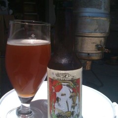 76. Dark Horse Brewing – Raspberry Ale