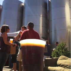 174. Great Divide Brewing – Hibernation Ale Draft