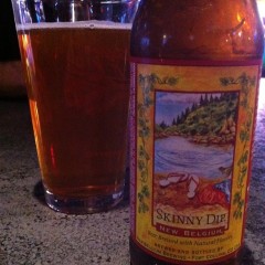 251. New Belgium – Skinny Dip