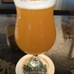 408. 4 Hands Brewery – Divided Sky Rye IPA