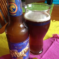 458. 5 Rabbit Cerveceria – 5 Vulture Mexican-style Dark Ale