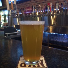 736. Pollyanna Brewing – Mazzie Pale Ale