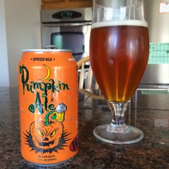 740. Wild Onion Brewing – Pumpkin Ale