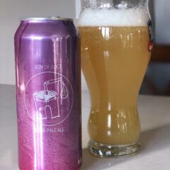 965. Maplewood Brewing – Son of Juice IPA