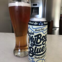 968. Brew Bus Brewing- You’re My Boy Blue Blueberry Wheat Ale