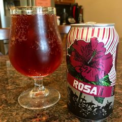 856.  Revolution- Rosa Hibiscus Ale