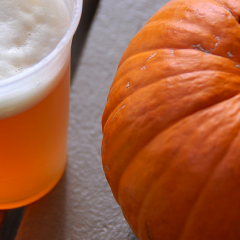 Top 10 Best Pumpkin Beers